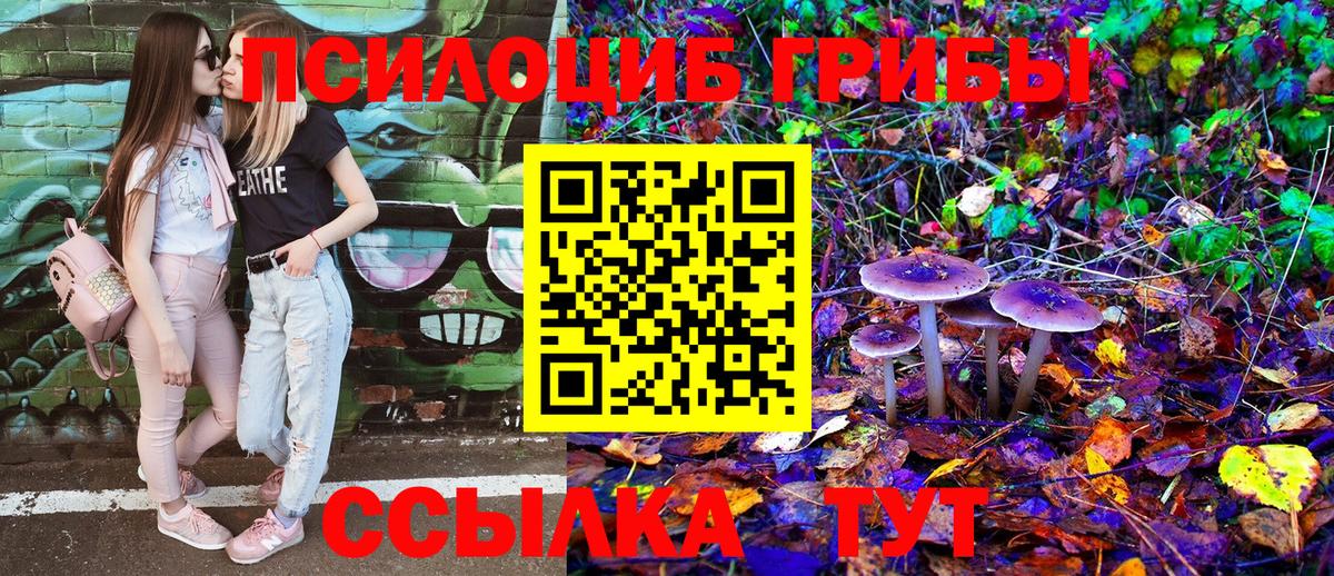 Алапаевск  Псилоцибиновые грибы Magic Shrooms  наркота  Вход с VPN 