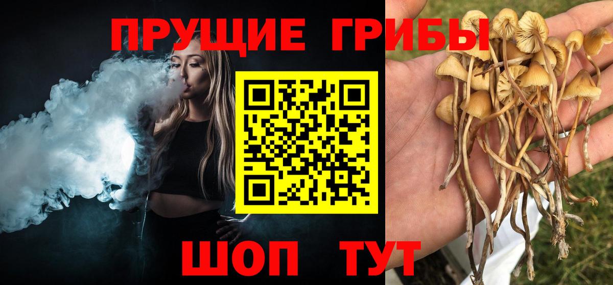 Псилоцибиновые грибы Magic Shrooms Алапаевск
